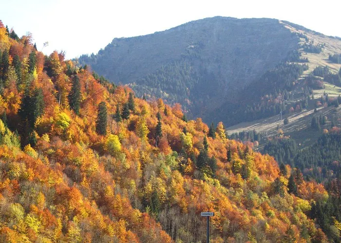 Staufenblick Hotel Oberstaufen